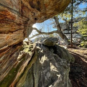 Meet your Posher, Calvin